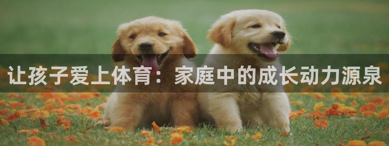让孩子爱上体育：家庭中的成长动力源泉