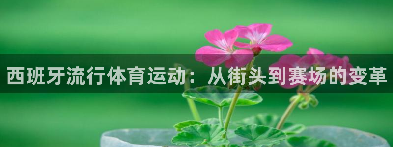 西班牙流行体育运动：从街头到赛场的变革