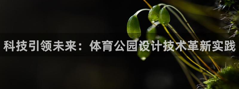 科技引领未来：体育公园设计技术革新实践