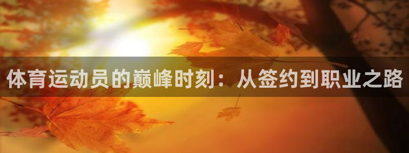 体育运动员的巅峰时刻：从签约到职业之路