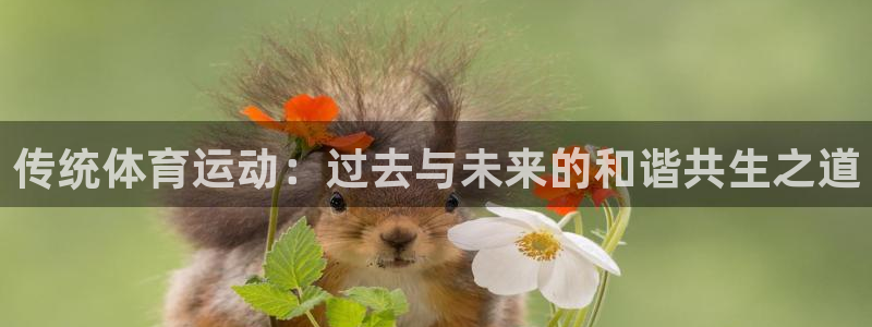 传统体育运动：过去与未来的和谐共生之道