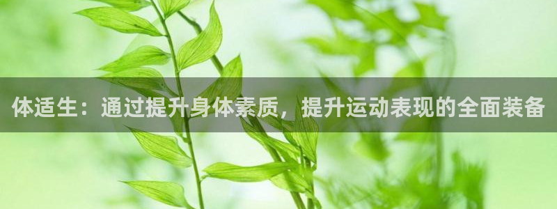 体适生：通过提升身体素质，提升运动表现的全面装备