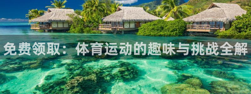 免费领取：体育运动的趣味与挑战全解