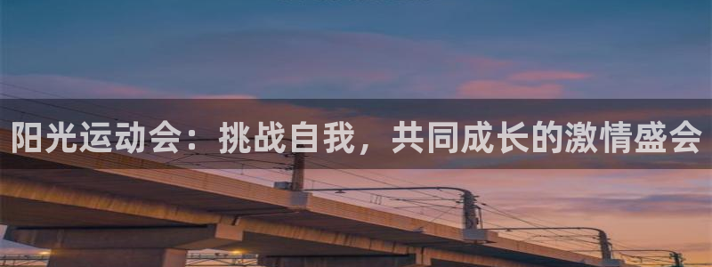 阳光运动会：挑战自我，共同成长的激情盛会