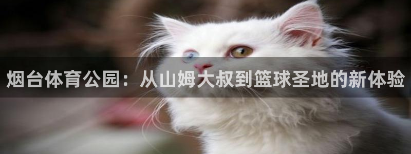 烟台体育公园：从山姆大叔到篮球圣地的新体验