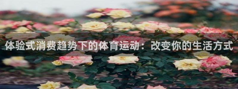 体验式消费趋势下的体育运动：改变你的生活方式