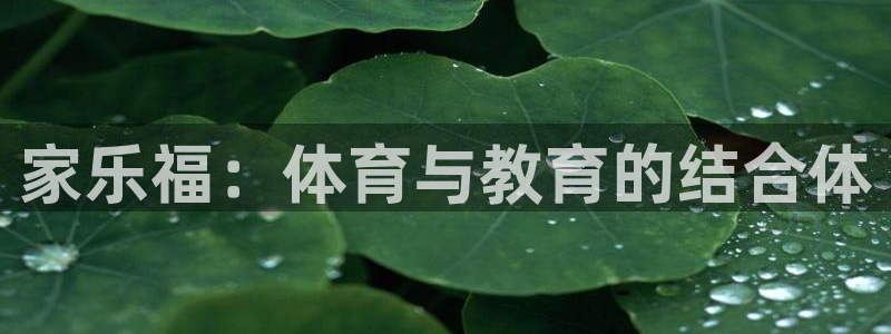 家乐福：体育与教育的结合体